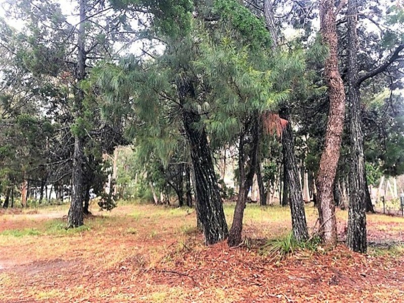 17 Barramundi Street, Macleay Island QLD 4184