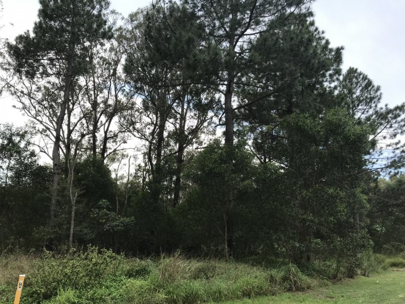 24 Lemontree Drive, Macleay Island QLD 4184