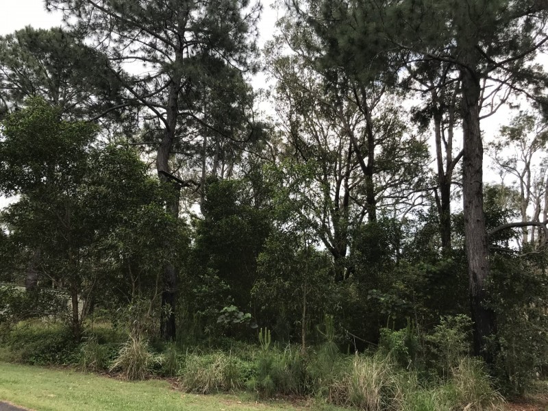 24 Lemontree Drive, Macleay Island QLD 4184