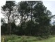 24 Lemontree Drive, Macleay Island QLD 4184
