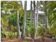 42 Barramundi Street, Macleay Island QLD 4184