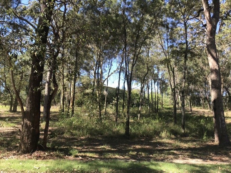 13 Cathy Street, Macleay Island QLD 4184