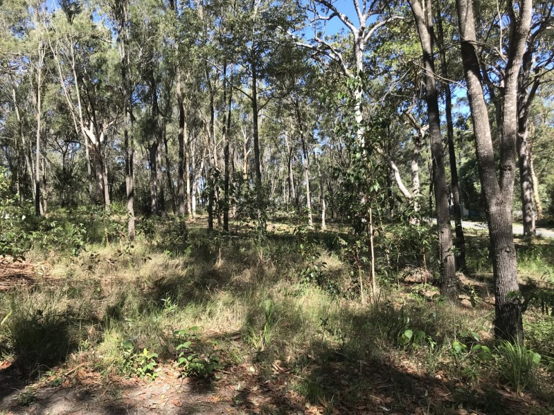 13 Cathy Street, Macleay Island QLD 4184