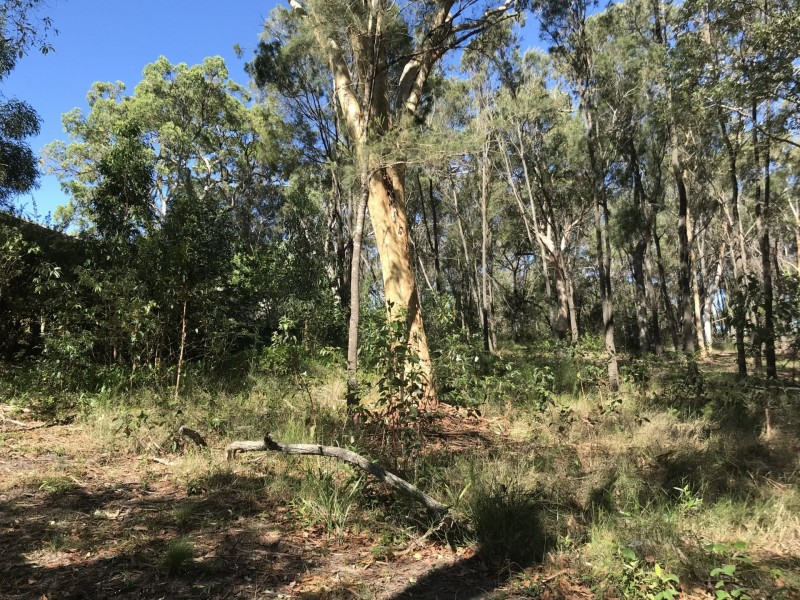 13 Cathy Street, Macleay Island QLD 4184