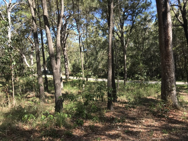 13 Cathy Street, Macleay Island QLD 4184