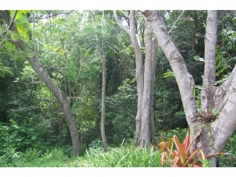 48 -52 PIER HAVEN, Lamb Island QLD 4184