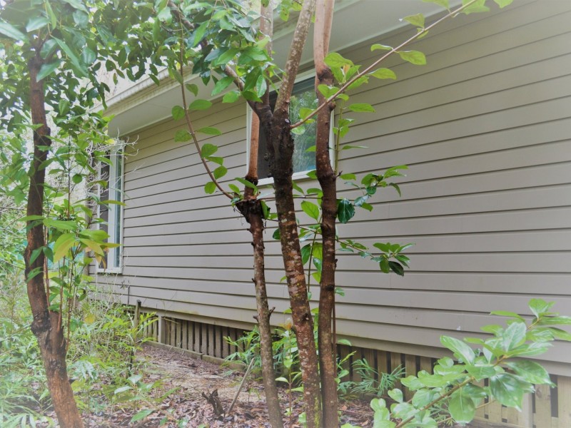 3 Parakeet Street, Macleay Island QLD 4184