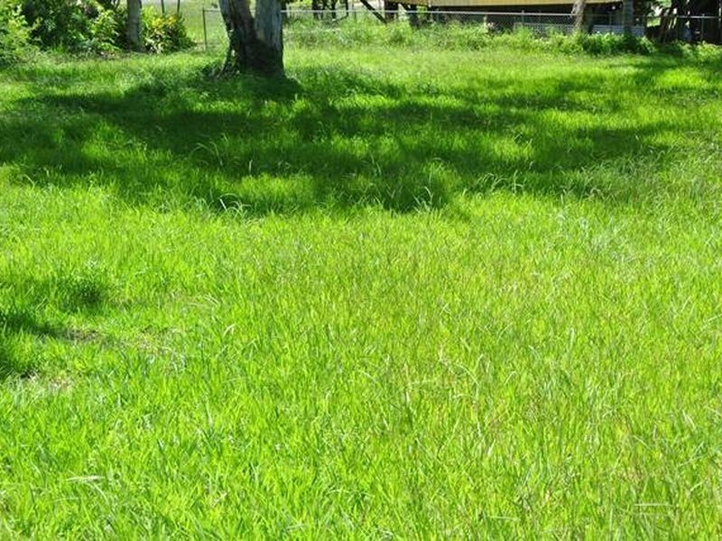 6 Alkira Street, Macleay Island QLD 4184