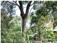 12 Camena Street, Macleay Island QLD 4184