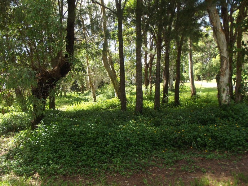 32-34 Nunkeri Drive, Macleay Island QLD 4184