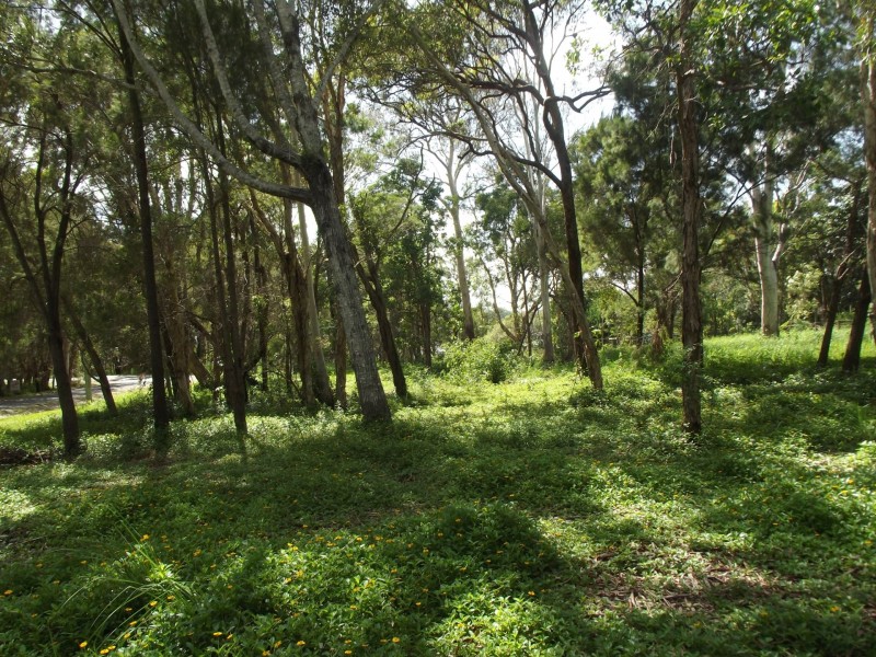 32-34 Nunkeri Drive, Macleay Island QLD 4184