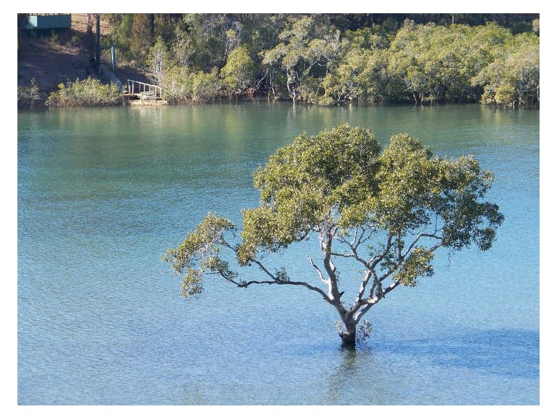19-27 Cressy Street, Macleay Island QLD 4184