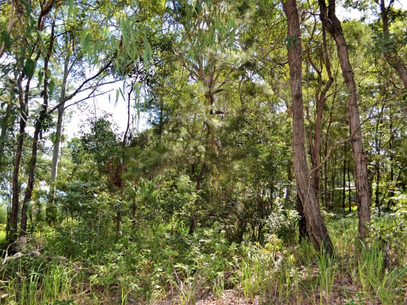 87 High Central Road, Macleay Island QLD 4184