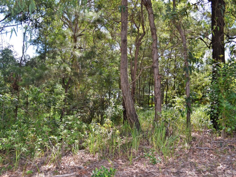 87 High Central Road, Macleay Island QLD 4184