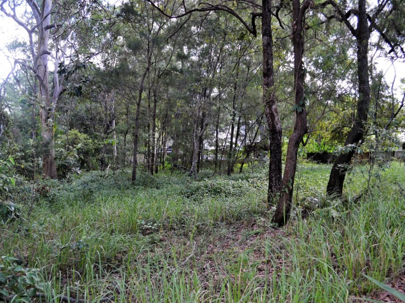 87 High Central Road, Macleay Island QLD 4184