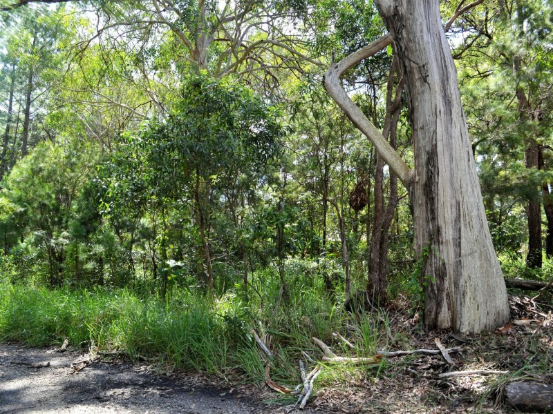 87 High Central Road, Macleay Island QLD 4184