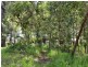 24 Allambie Street, Macleay Island QLD 4184