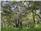 24 Allambie Street, Macleay Island QLD 4184