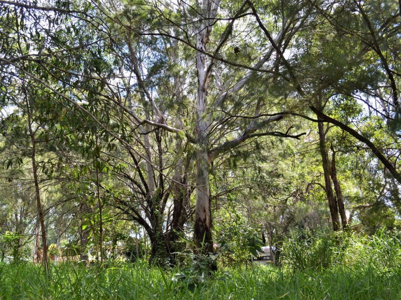 24 Allambie Street, Macleay Island QLD 4184