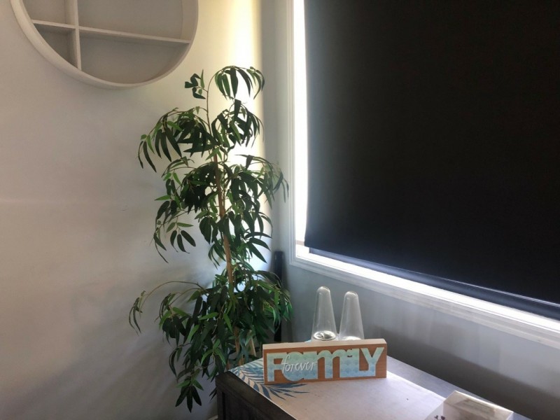 46 Barramundi Street, Macleay Island QLD 4184