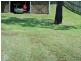 35 Jan Street, Macleay Island QLD 4184
