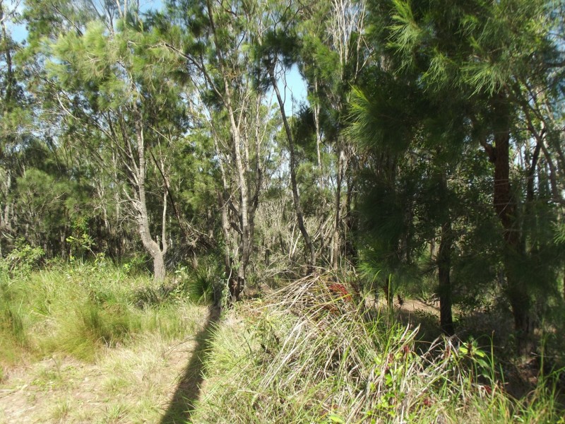 12 Emita Street, Macleay Island QLD 4184