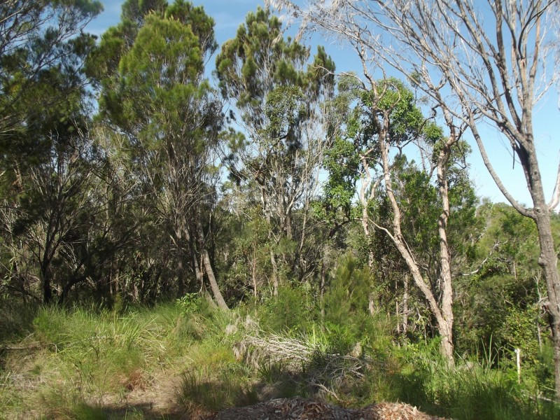 12 Emita Street, Macleay Island QLD 4184