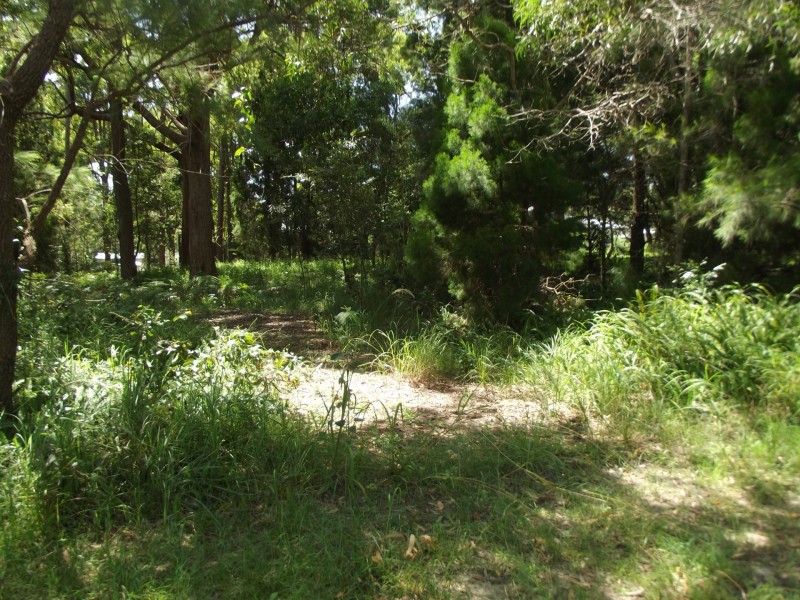 50 Scotts Road, Macleay Island QLD 4184