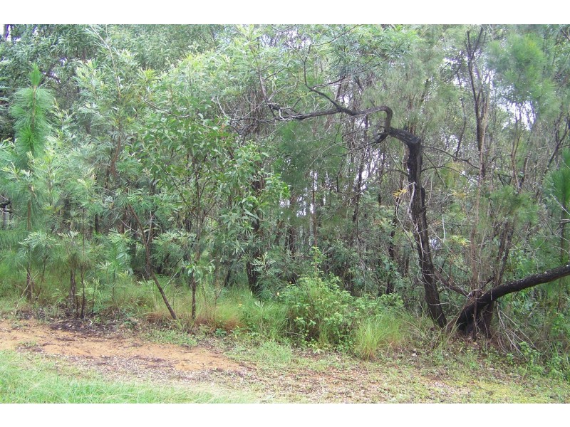 1 PIER HAVEN, Lamb Island QLD 4184