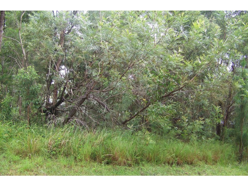 1 PIER HAVEN, Lamb Island QLD 4184