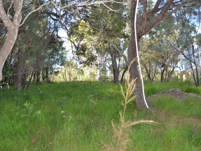 41 Wirralee street, Macleay Island QLD 4184