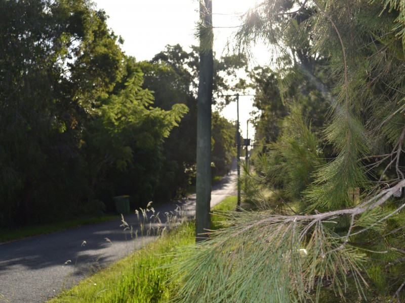 41 Wirralee street, Macleay Island QLD 4184