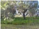 41 Wirralee street, Macleay Island QLD 4184
