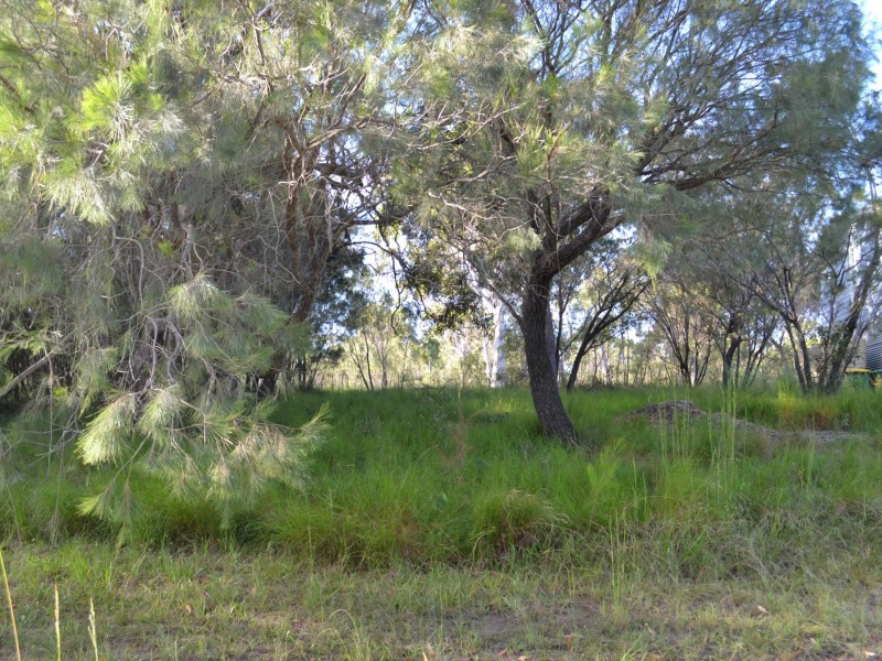 41 Wirralee street, Macleay Island QLD 4184