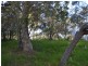 41 Wirralee street, Macleay Island QLD 4184