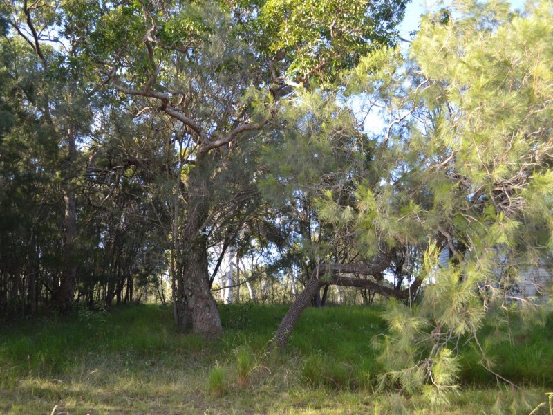 41 Wirralee street, Macleay Island QLD 4184