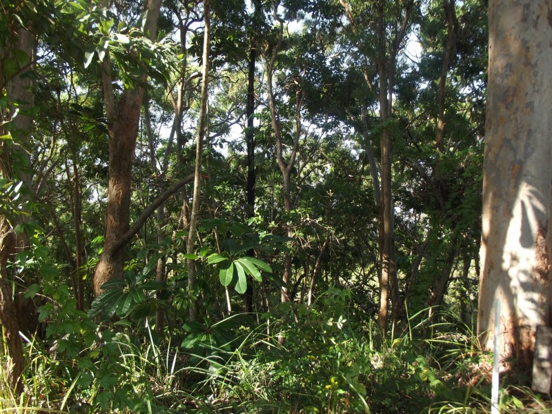 34 Blue Waters Crescent, Macleay Island QLD 4184