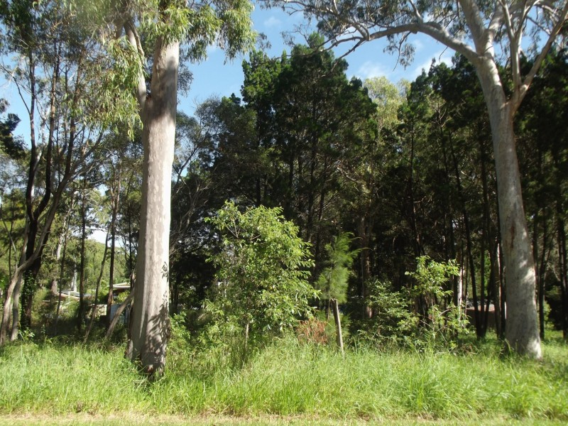 59 Kate Street, Macleay Island QLD 4184