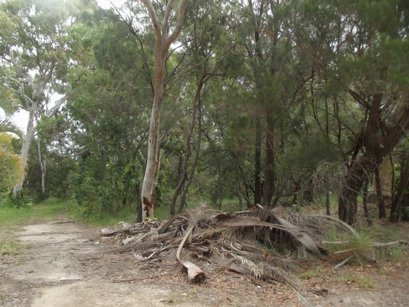 10 Matthew Street, Macleay Island QLD 4184