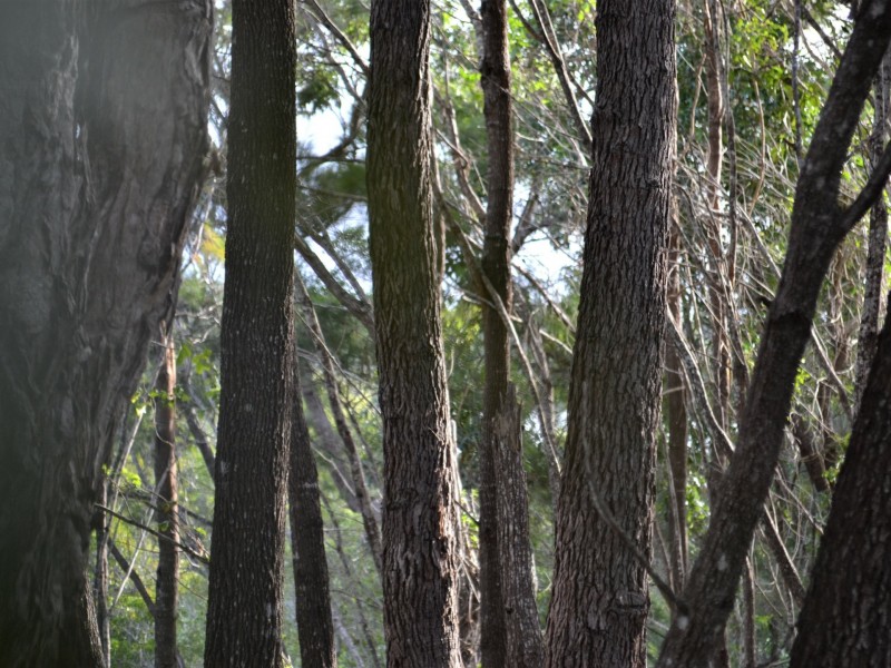12 Calm Waters, Macleay Island QLD 4184