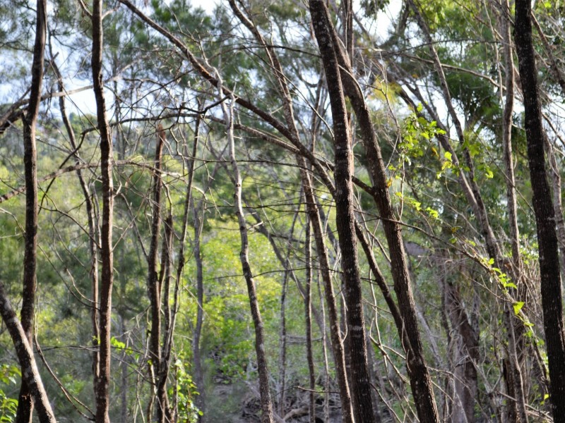 12 Calm Waters, Macleay Island QLD 4184