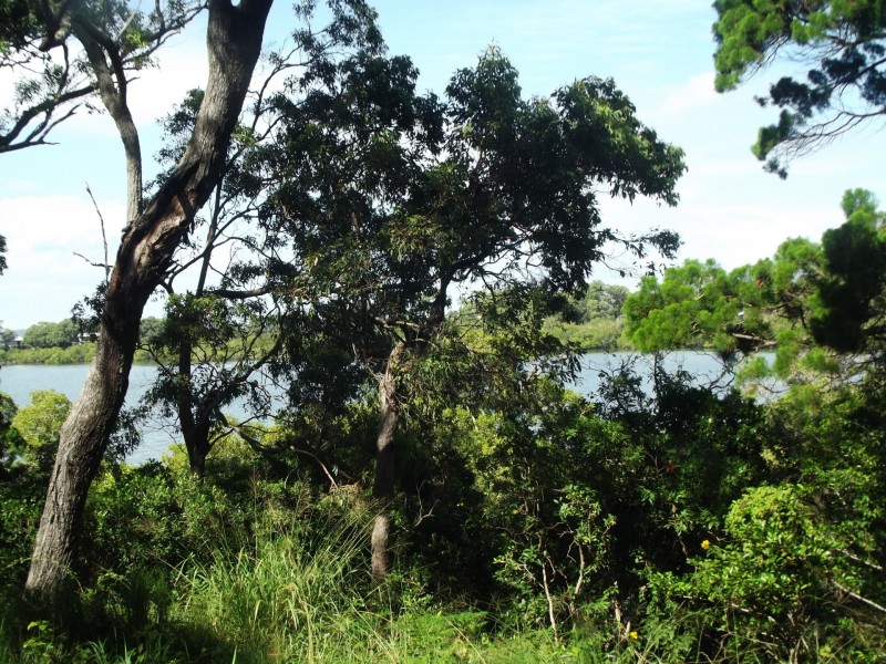 97 Beelong Street, Macleay Island QLD 4184
