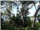 97 Beelong Street, Macleay Island QLD 4184