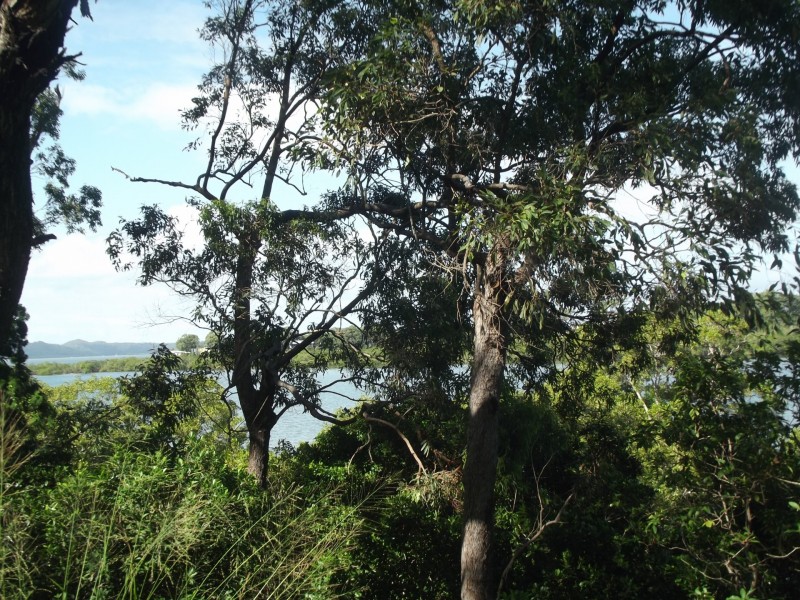 97 Beelong Street, Macleay Island QLD 4184