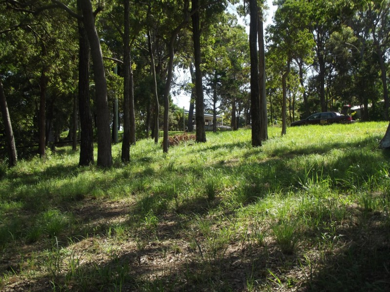 97 Beelong Street, Macleay Island QLD 4184