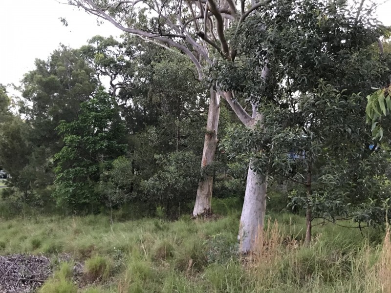 26 Warama Street, Macleay Island QLD 4184