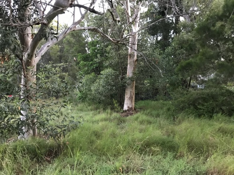 26 Warama Street, Macleay Island QLD 4184