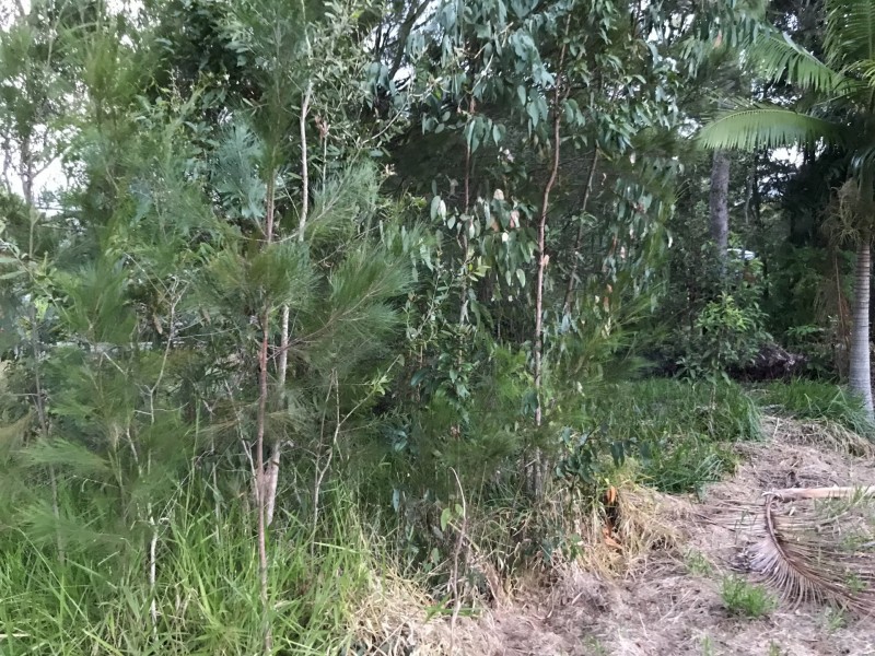 26 Warama Street, Macleay Island QLD 4184
