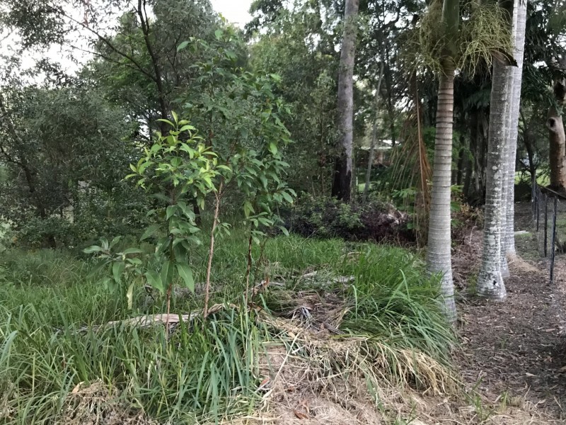 26 Warama Street, Macleay Island QLD 4184