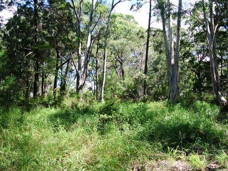 17 High Central Road, Macleay Island QLD 4184